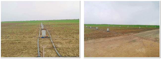 安裝現(xiàn)場5 安裝現(xiàn)場5